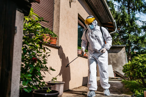 Best Pest Control Near Me in Florence, AZ