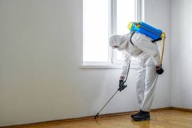 Best Best Pest Control Companies  in Florence, AZ